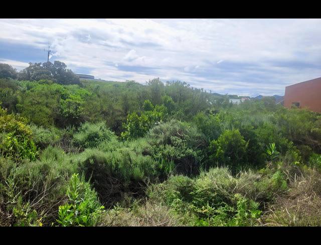 586M² VACANT LAND FOR SALE IN BOGGOMSBAAI